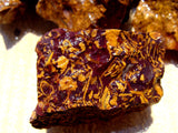 Jasper, Sea Fossil