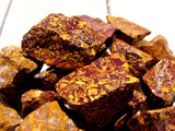 Jasper, Sea Fossil