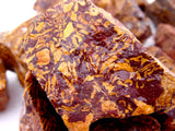 Jasper, Sea Fossil
